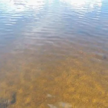 Lintukoto * Heinävesi